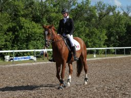 IMG_5026_web